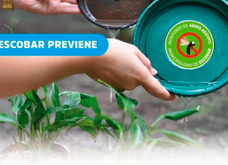 Al Dengue, Chikungunya y Zika, lo combatimos entre todos