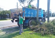 El Municipio informó el cronograma de recolección de ramas