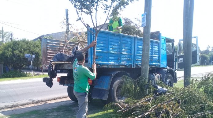 El Municipio informó el cronograma de recolección de ramas