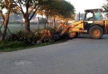 Continúan las tareas de mantenimiento y mejoras en el espacio público de todo el distrito