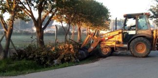 Continúan las tareas de mantenimiento y mejoras en el espacio público de todo el distrito