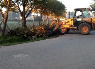 Continúan las tareas de mantenimiento y mejoras en el espacio público de todo el distrito