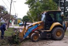 La Municipalidad intensifica tareas de mantenimiento del espacio público