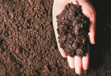 Escobar adhiere al “Mes del compostaje”