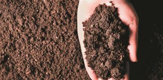 Escobar adhiere al “Mes del compostaje”