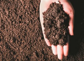 Escobar adhiere al “Mes del compostaje”