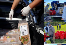 Decomisan más de 250 kilos de carne, chacinados y pollos