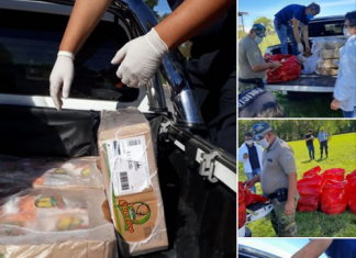 Decomisan más de 250 kilos de carne, chacinados y pollos