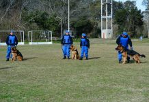 El Ministerio de Seguridad bonaerense distinguió a la División Canina de Escobar