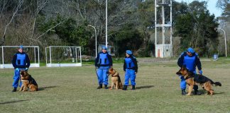 El Ministerio de Seguridad bonaerense distinguió a la División Canina de Escobar