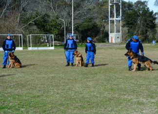 El Ministerio de Seguridad bonaerense distinguió a la División Canina de Escobar