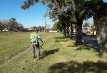 Espacio público: El Municipio continúa con trabajos en todas las localidades