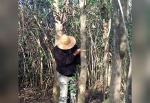 Escobar Sostenible: El Municipio realiza capacitaciones sobre cuidado del ambiente