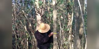 Escobar Sostenible: El Municipio realiza capacitaciones sobre cuidado del ambiente