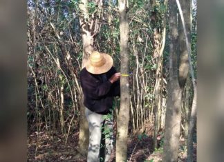 Escobar Sostenible: El Municipio realiza capacitaciones sobre cuidado del ambiente