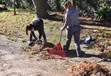 Recolectaron más de 11 mil kilos de material reciclable