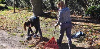 Recolectaron más de 11 mil kilos de material reciclable