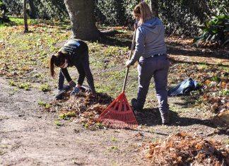 Recolectaron más de 11 mil kilos de material reciclable
