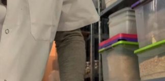 La Municipalidad lanza capacitaciones virtuales para emprendedores y comerciantes locales