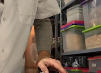 La Municipalidad lanza capacitaciones virtuales para emprendedores y comerciantes locales