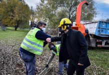 Saludamos en su día a las trabajadoras y trabajadores del estado