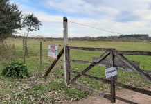 La Municipalidad de Escobar clausuró un loteo clandestino en Loma Verde y formuló una denuncia penal para que la Justicia investigue la venta irregular de estas propiedades