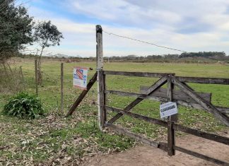 La Municipalidad de Escobar clausuró un loteo clandestino en Loma Verde y formuló una denuncia penal para que la Justicia investigue la venta irregular de estas propiedades