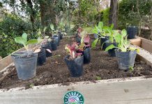 Escobar Sostenible: Entregaron composteras en distintas dependencias municipales