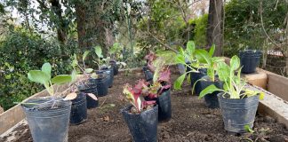 Escobar Sostenible: Entregaron composteras en distintas dependencias municipales