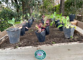 Escobar Sostenible: Entregaron composteras en distintas dependencias municipales