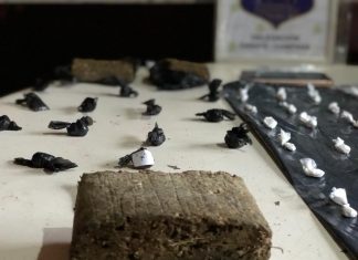 Desbarataron una banda que comercializaba drogas en Garín