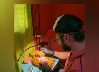 El Municipio capacitó a 250 emprendedores y comerciantes