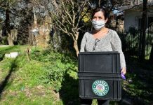 Más de 270 contribuyentes adheridos al débito recibirán composteras