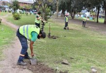 Escobar continúa con su plan de forestación