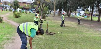 Escobar continúa con su plan de forestación