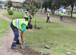 Escobar continúa con su plan de forestación