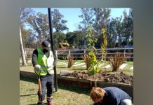 Escobar Sostenible: Trasplantaron árboles nativos del recreo Puente La Arenera