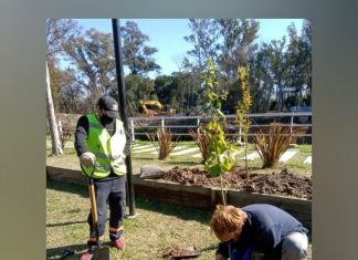 Escobar Sostenible: Trasplantaron árboles nativos del recreo Puente La Arenera