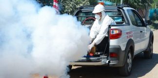Inician las fumigaciones contra el dengue