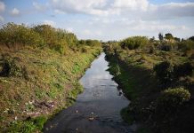 Continúan las obras hidráulicas en todo el distrito