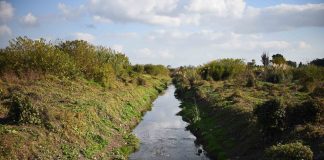 Continúan las obras hidráulicas en todo el distrito