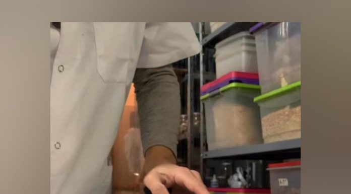 Más de 400 vecinos participan de los cursos de Manipulación de Alimentos virtuales