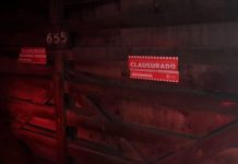 Fiesta clandestina: Clausuran casaquinta e imputan a 30 personas