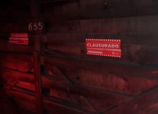 Fiesta clandestina: Clausuran casaquinta e imputan a 30 personas