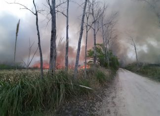 Paraná de Las Palmas: Aseguran que el incendio está bajo control