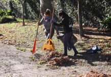 Convocan a una jornada ambiental contra el dengue