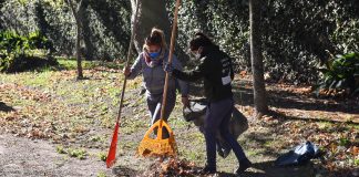 Convocan a una jornada ambiental contra el dengue