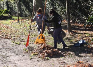 Convocan a una jornada ambiental contra el dengue