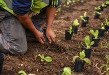 Protectores ambientales: Un programa para que vecinos y vecinas trabajen en equipo por un Escobar Sostenible