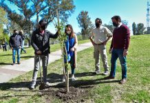 Escobar celebra la primavera plantando árboles